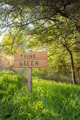 a wooden sign to think green to defend and support the care of the planet, sustainable development and the environment, in a natural and sustainable environment with trees and sun