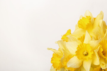 Bouquet of beautiful yellow daffodils on beige background, closeup. Space for text
