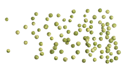 Green Berry Eggplant fly fall, Green Berry Eggplant for planting float in air. Nightshade Berry Eggplant throw in mid air. White background isolated high speed freeze motion