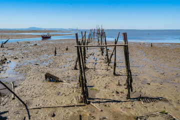 Low tide on the stilt-built pier of Carrasqueira with trunks leading to the sea in the Sado river estuary, Alcácer do Sal PORTUGAL