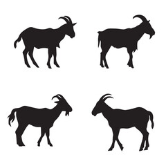 Silhouette Goat Vector illustration. Goat Collection