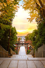 Fukuoka, Japan - Nov 21 2022: Miyajidake Shrine is primarily dedicated to Empress Jingu, home to...