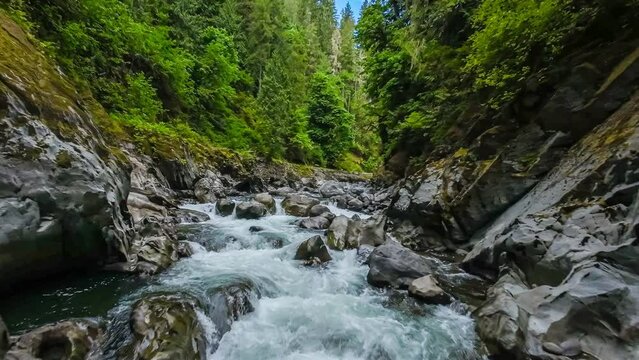 Flying over a scenic mountain river surrounded by a forest of lush green trees