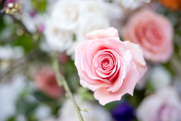 Beautiful Wedding Natural Arch Flowers Events Romantic Love Stunning Flower Event Ceremony Reception Bokeh Table Settings Rose Candles