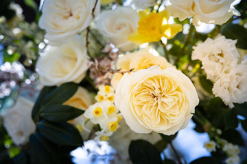 Beautiful Wedding Hope Blue Yellow Rose Arch Event Flowers Events Flower Ceremony Reception Bokeh Close-up Macro Nature Plants Outdoors