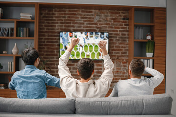 Back view of men watching a football game on tv and sitting on a sofa