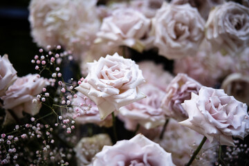 Beautiful Natural Rose Flowers Wedding Events Staircase Arch Chuppah Ceremony Reception Flower Event Hydrangea Garden Botanical Natural Table Settings
