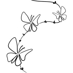 butterfly on a branch