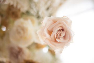 Beautiful Natural Light Wedding Flowers Events Reception Ceremony Rustic Airy Vintage