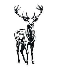 Sketch silhouette of a deer. Big horns wild animal. Simple black silhouette graphic. Cartoon style. Vector illustration on white isolated background.