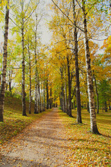Naklejka premium Autumn park landscape . Golden autumn in the city park. Photos on the calendar. Season. September, October, November