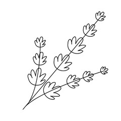 Wedding ornament of floral frame decoration