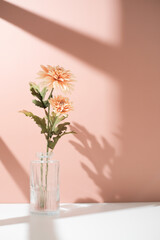 The flower under the window light on a pastel background. Beauty and spring background concept with copy space.vertical