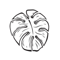 Exotic plant - Monstera Deliciosa. Black contours isolated on a white background eps 10