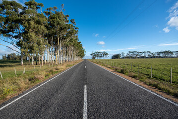 Fototapeta na wymiar Road in the countryside of La Laguna de Rocha in La Paloma, Uruguay