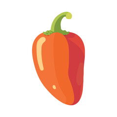 Fresh organic vegetables, ripe and healthy for cooking