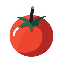 Fresh organic tomato, ripe vegetable for healthy eating