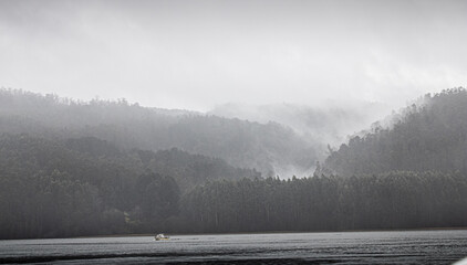 fog in the mountains