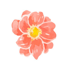 Watercolor pink flower floral bouquet