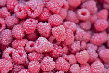close up of ripe raspberries