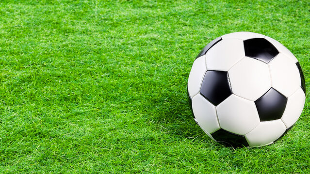 A soccer ball sitting in green grass.