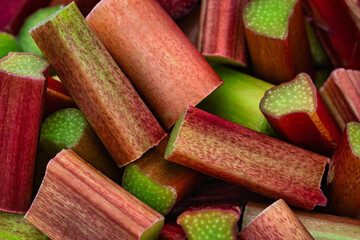 Rhabarberblattstiele