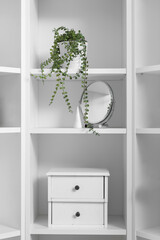 Shelving unit with mirror, houseplant and drawer, closeup