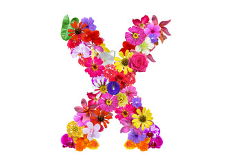 X shape made of various kinds of flowers petals isolated on transparent background, PNG