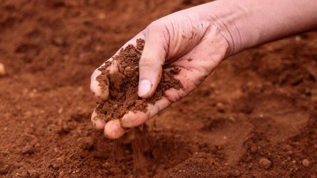 Close up of a male hand testing the agriculture soil - 4K video  