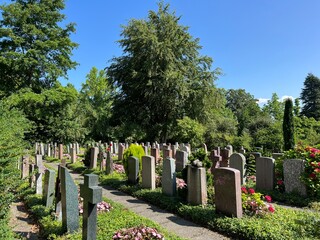 Naklejka premium Nordheim cemetery or cemetery of Nordheim oder Friedhof Nordheim - Zürich (Zurich or Zuerich), Switzerland (Schweiz)