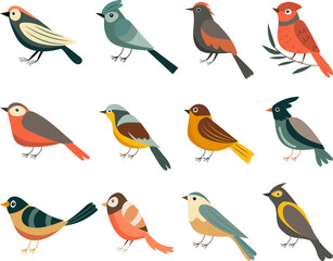 set of birds of different breeds vector