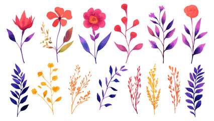 Set watercolor elements of pink roses; collection garden flowers; leaves; branches. Botanic Wedding floral design. Collection of greenery leaf plant forest herbs tropical leaves.