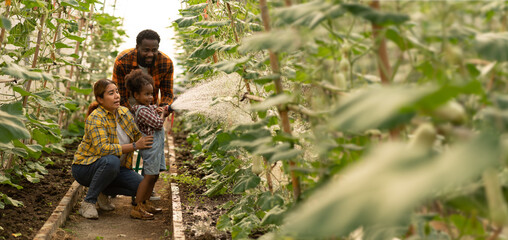 farmer family concept.African man working in greenhouse together with his daughter.black african...
