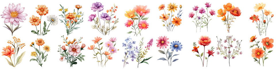 Set of Beautiful Flower Bouquet Illustrations: Vibrant and Delicate Floral Art for Artistic Designs , Isolated PNG