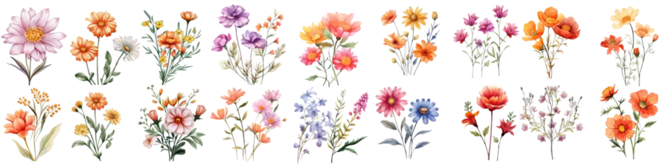 Tuinposter Set of Beautiful Flower Bouquet Illustrations: Vibrant and Delicate Floral Art for Artistic Designs , Isolated PNG © HappyTime 17