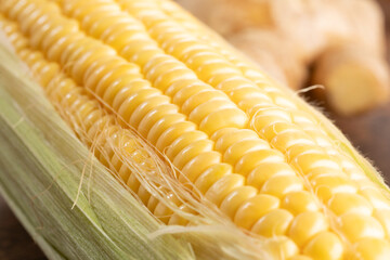 とうもろこし　corn	