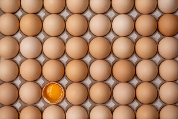 たくさんの新鮮なたまご