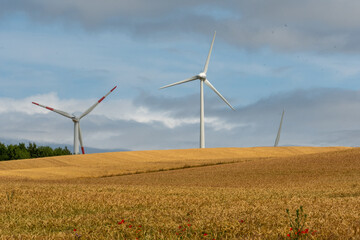 wind turbine in the field