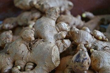 A lot of Ginger root. Heap of Fresh Ginger in Thailand fresh market. Raw Organic Spicy Ginger Root. Ingredient for Thai foods. 