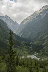 Fototapeta na wymiar Valley in Ala-Archa National Park in Kyrgyzstan