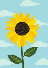 Yellow sunflower background.Eps 10 vector.