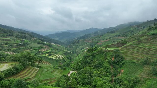 Lush green hills leading to valley in Northern Vietnam with rice terraces on cloudy summer day. Aerial 4K drone video flying over rural Vietnamese countryside.