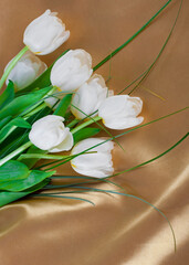 beautiful bright white tulips, yellow flowers on silk background