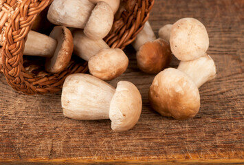 White forest mushrooms in basket on wooden table. Forest gifts
