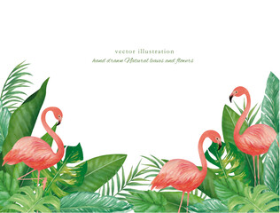 フラミンゴとトロピカルグリーン © fuufuu