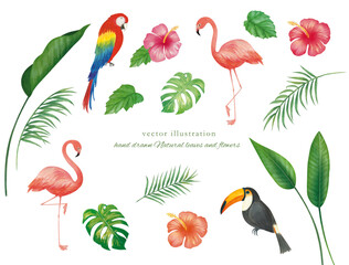 フラミンゴとトロピカルグリーン © fuufuu