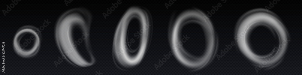Wall mural smoke ring cloud vector steam round cloud effect. abstract transparent hookah shape isolated on back