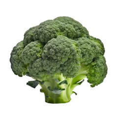 broccoli isolated on transparent background cutout