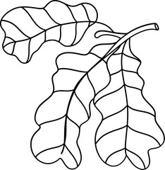 Autumn oak leaves, Autumn or Fall Animal, illustration