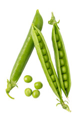 green pea vegetable bean isolated. png file